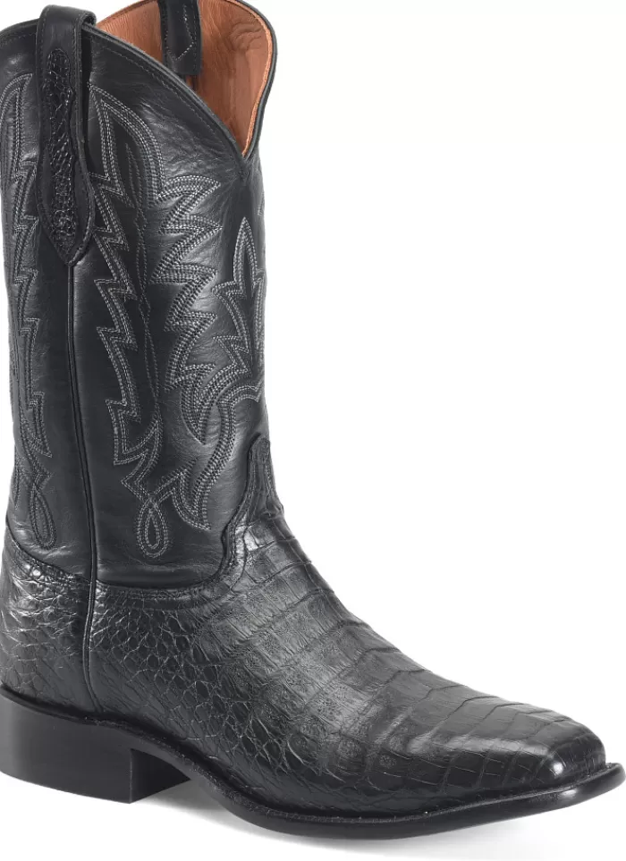 Panama 12" Caiman Cowboy^Justin Boots Hot
